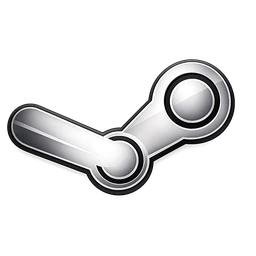 Steam